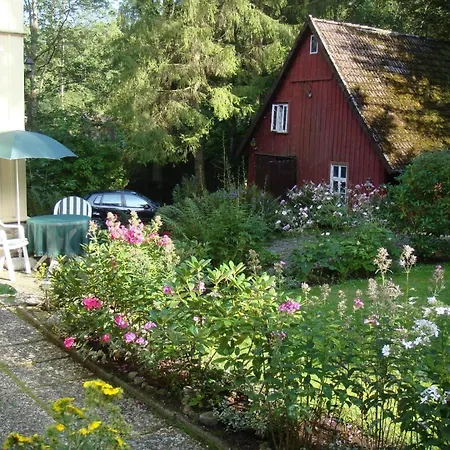 Mit Terrasse Und Parkplatz In Zweifamilienhaus